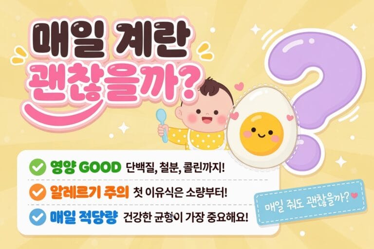 아기 계란 이유식의 영양과 알레르기 주의 기준을 보여주는 일러스트