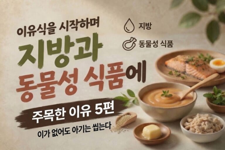 이가 없어도 아기는 씹는다를 설명하는 고기와 지방 이유식 5편 대표 이미지
